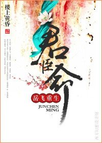 君臣命（岳飛重生）
