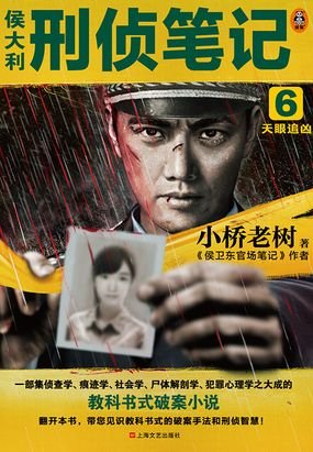 侯大利刑侦笔记6：天眼追凶（出书版）